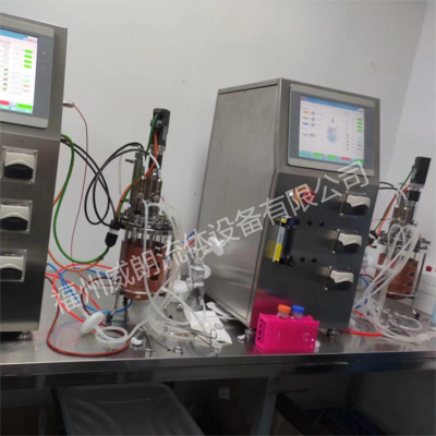 实验室规模玻璃生物反应器